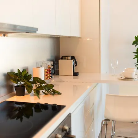 Premium In Herastrau With View Appartement *